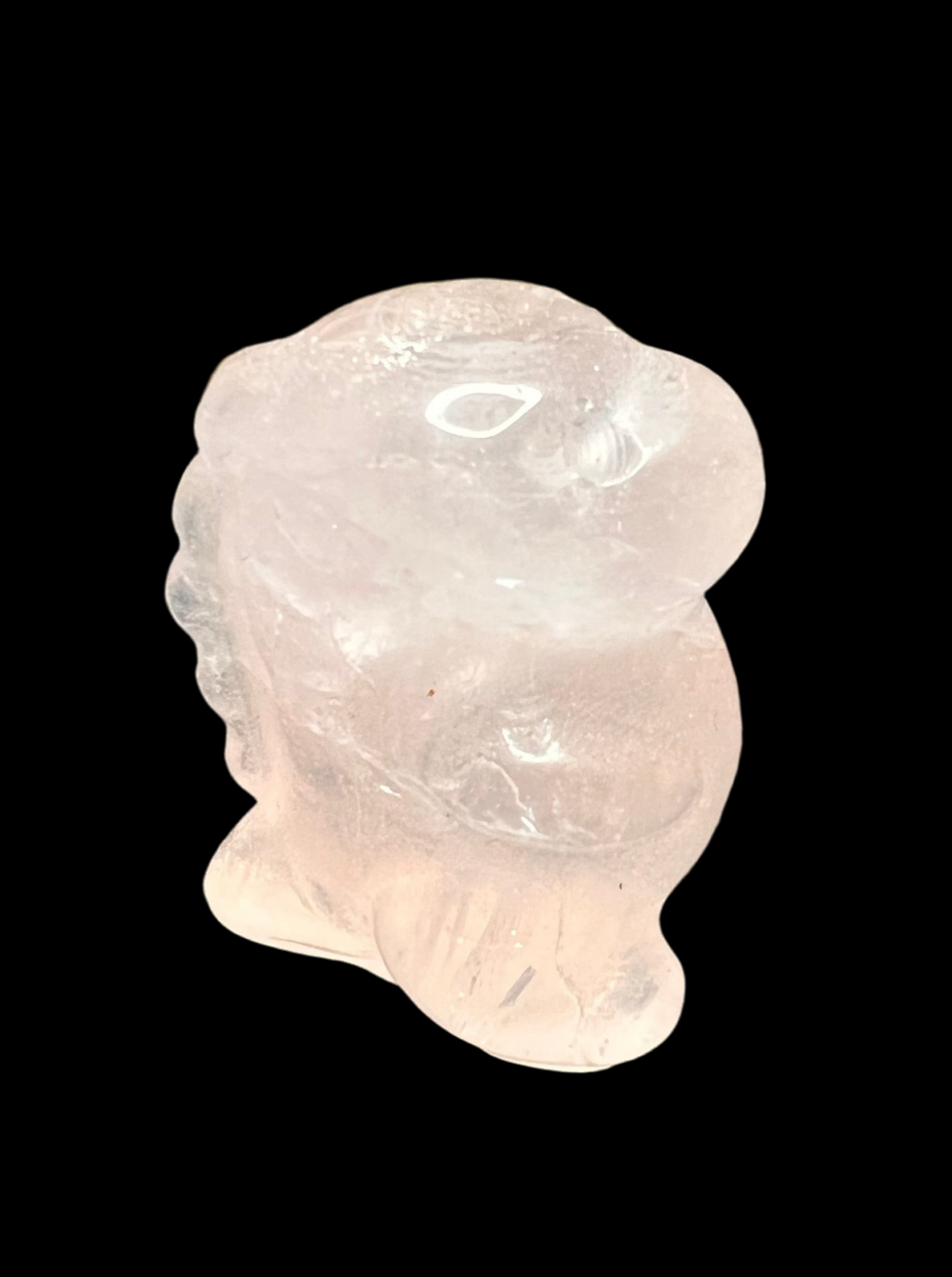Dino - Rose Quartz