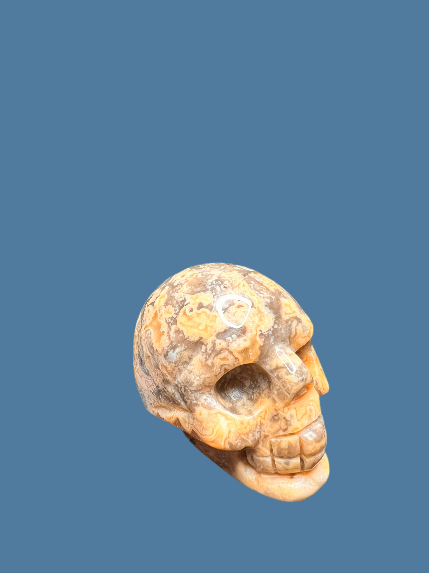Skull 1 - Crazy Lace