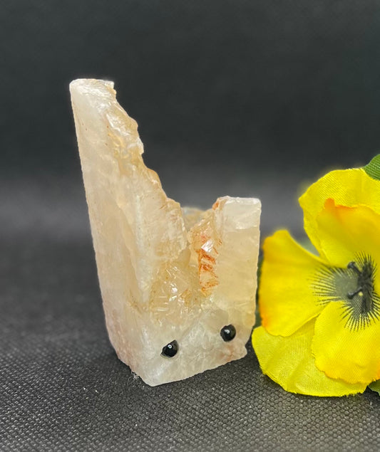 Agate Buddy