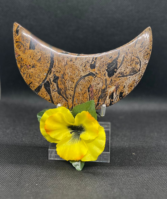Script Stone Jasper Moon