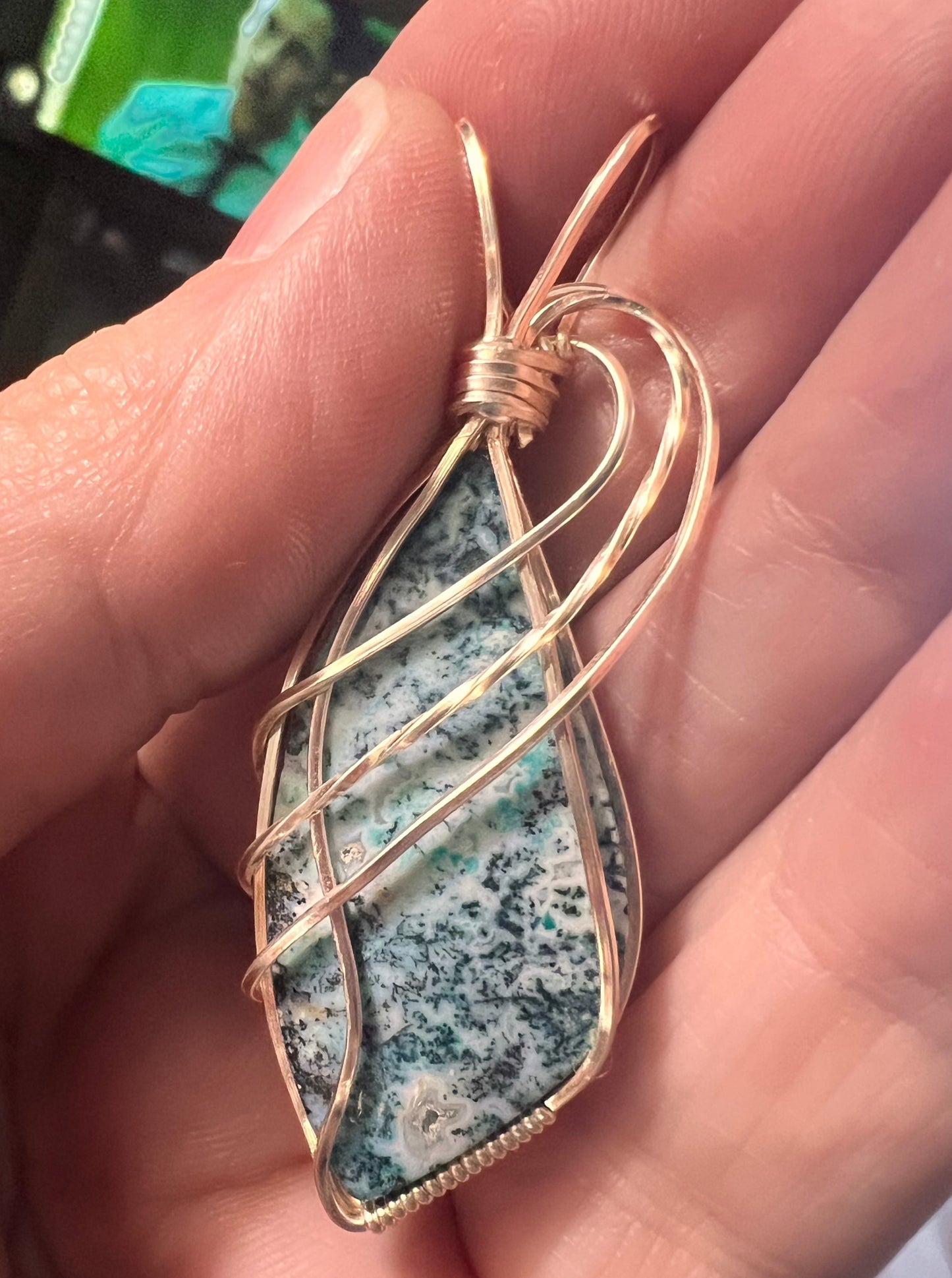 Blue Opalized Petrified Wood