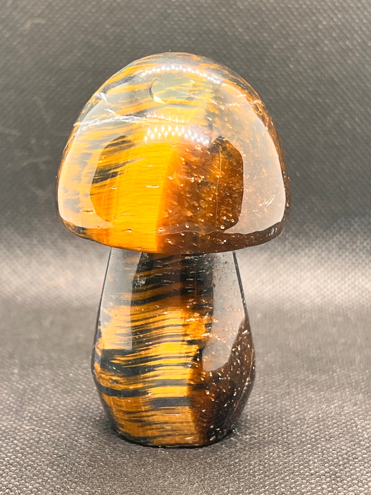 Blue Tiger Eye Mushroom