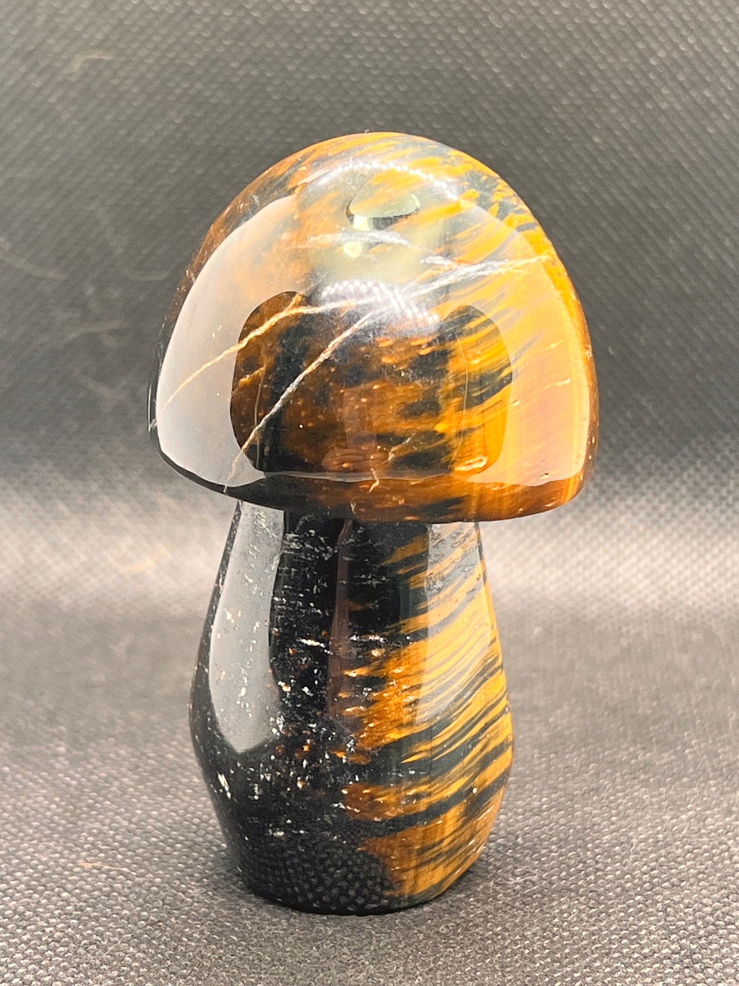 Blue Tiger Eye Mushroom