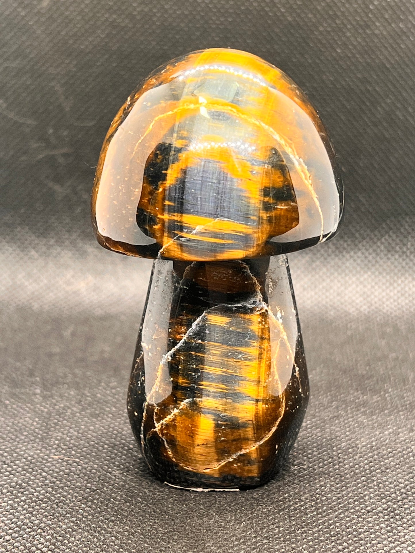 Blue Tiger Eye Mushroom