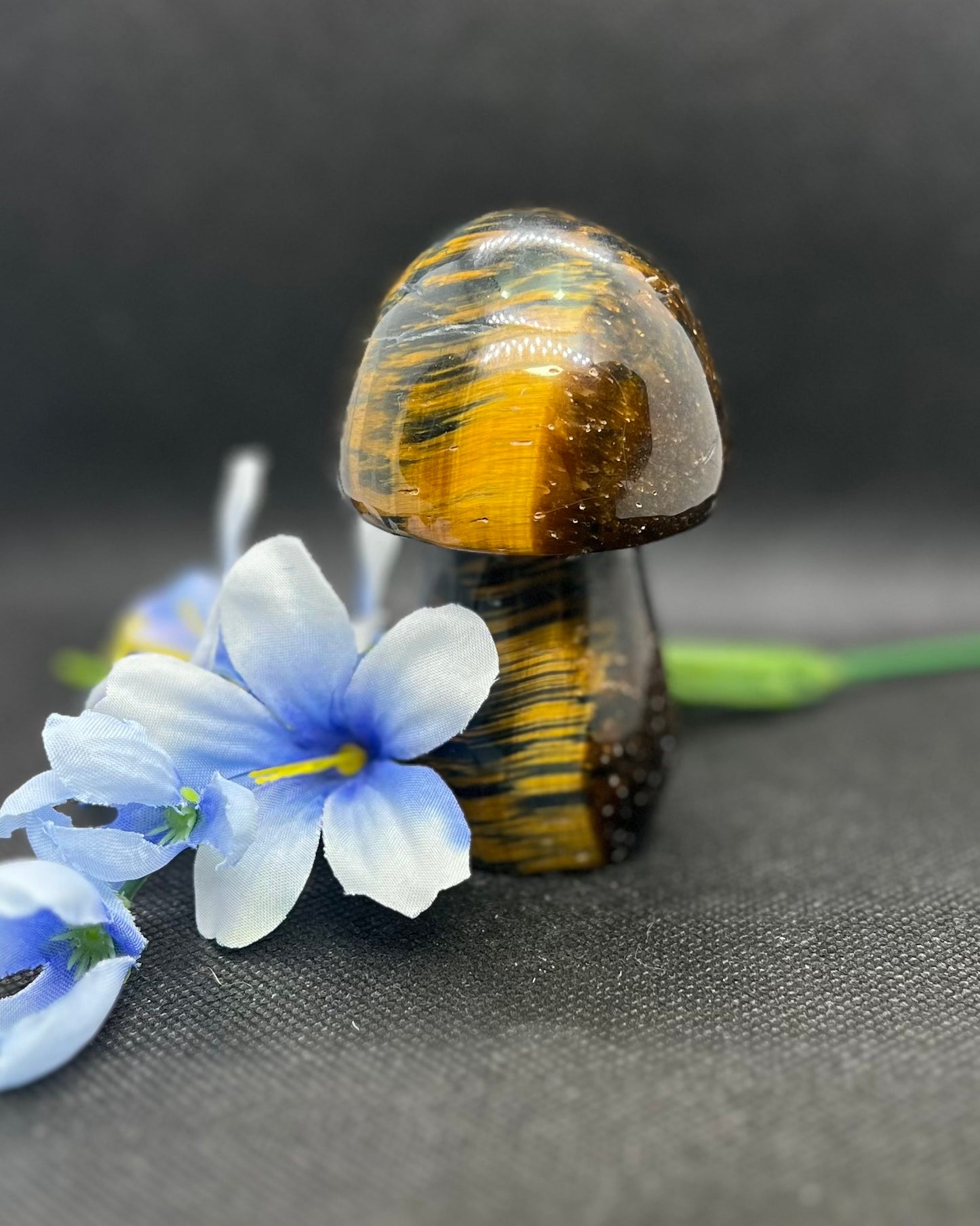 Blue Tiger Eye Mushroom