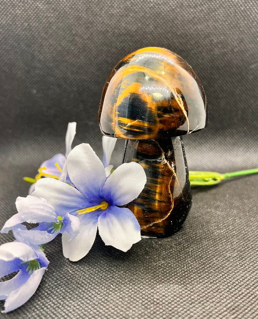 Blue Tiger Eye Mushroom
