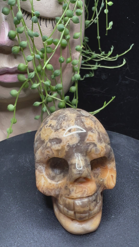 Skull 1 - Crazy Lace